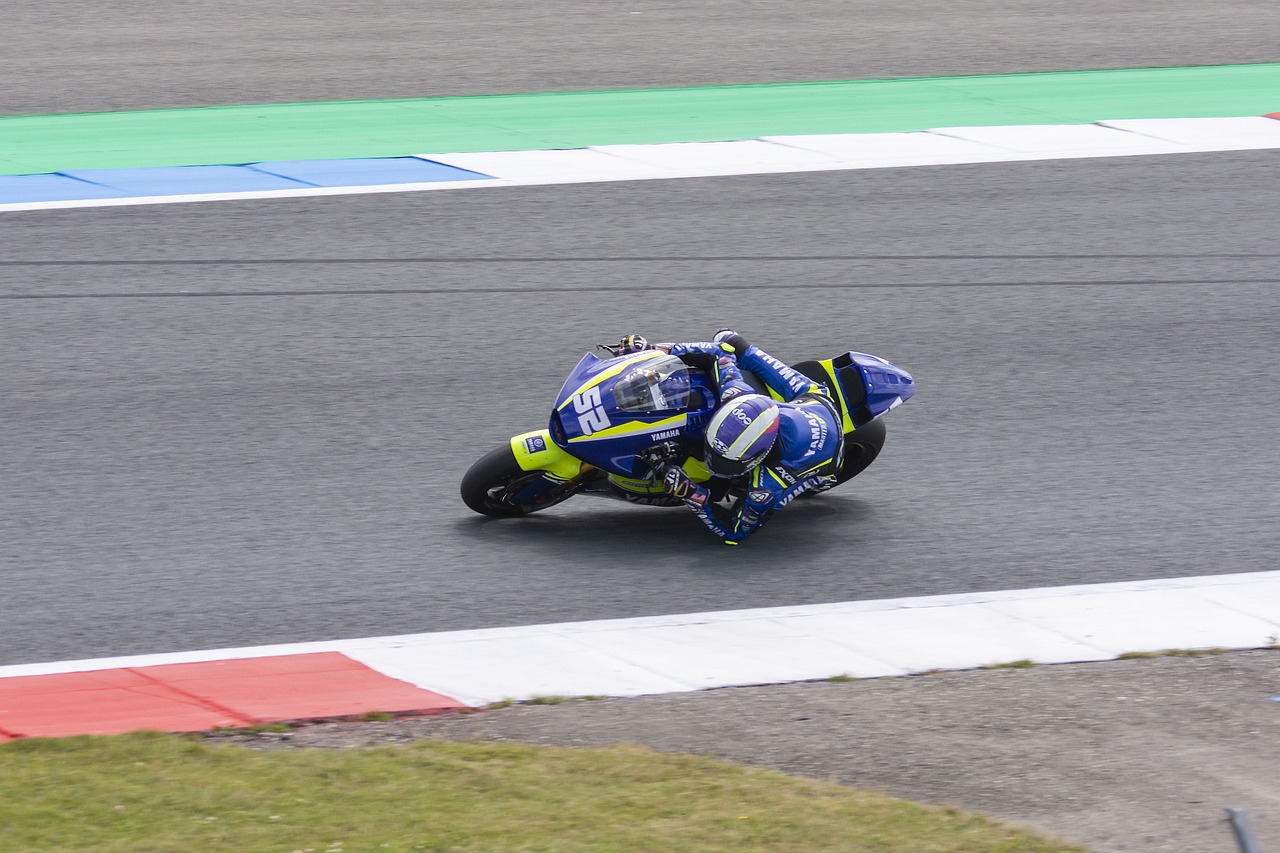 的确让人兴 的确让人兴