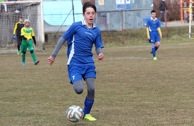 杂的转会动 杂的转会动