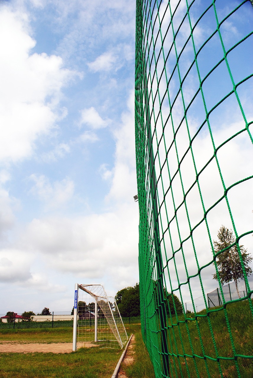 的抓住機會 的抓住機會