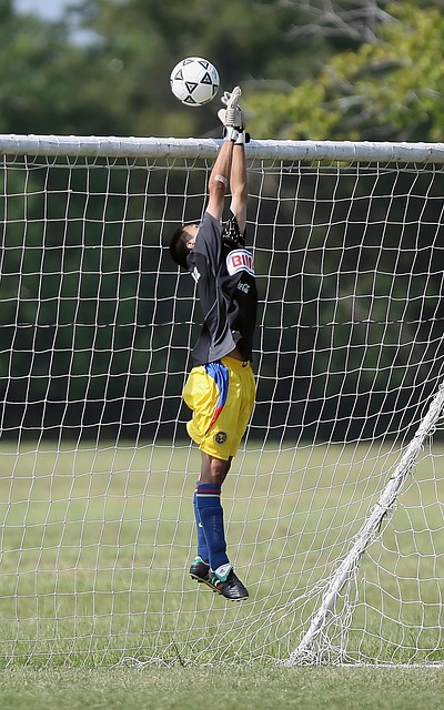 龙潭湖庙会 龙潭湖庙会