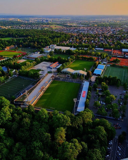 临场战术调 临场战术调